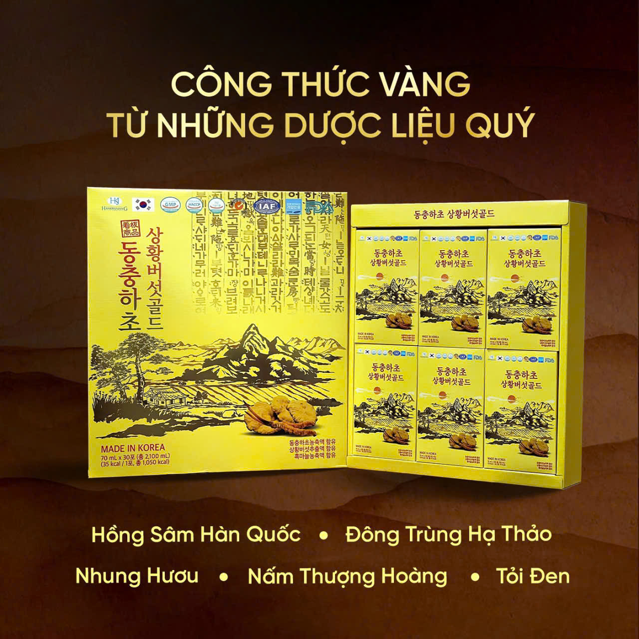 ĐÔNG TRÙNG NẤM THƯỢNG HOÀNG