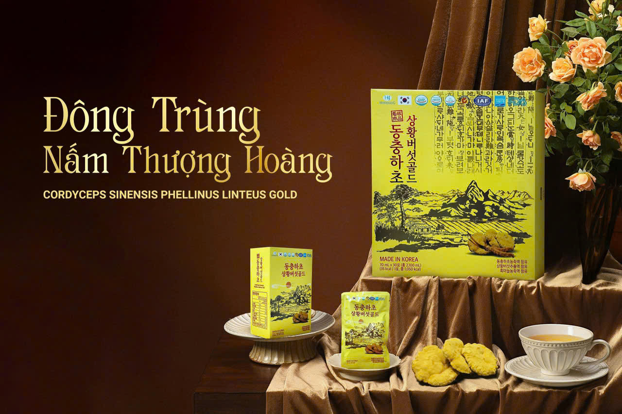 ĐÔNG TRÙNG NẤM THƯỢNG HOÀNG